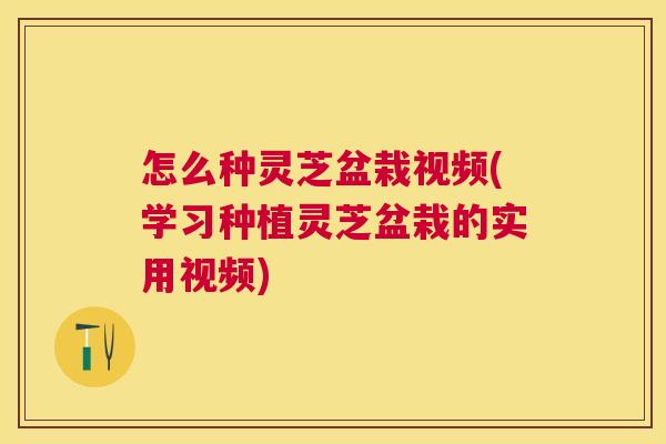 怎么种灵芝盆栽视频(学习种植灵芝盆栽的实用视频) 怎么种灵芝盆栽视频(学习种植灵芝盆栽的实用视频)