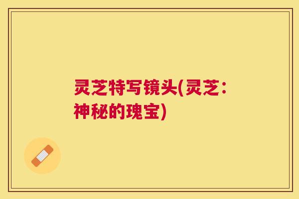 灵芝特写镜头(灵芝：神秘的瑰宝)
