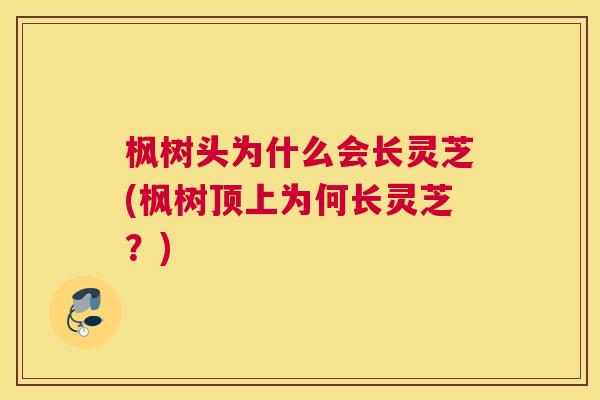 枫树头为什么会长灵芝(枫树顶上为何长灵芝？)