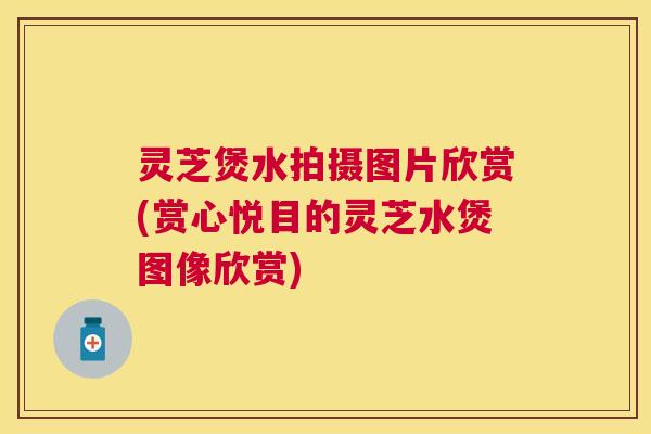灵芝煲水拍摄图片欣赏(赏心悦目的灵芝水煲图像欣赏)