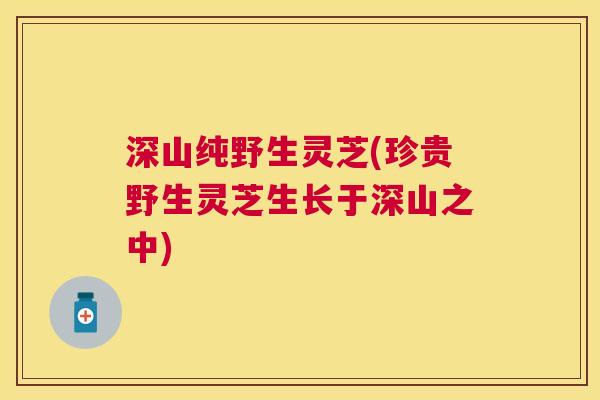 深山纯野生灵芝(珍贵野生灵芝生长于深山之中)