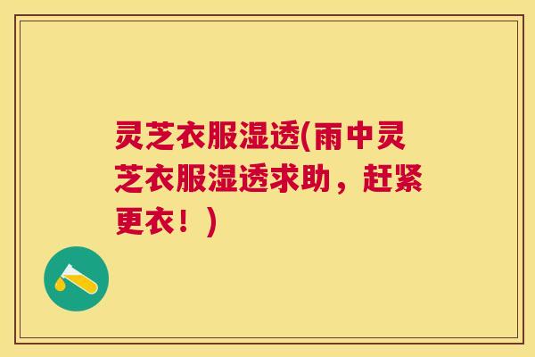 灵芝衣服湿透(雨中灵芝衣服湿透求助，赶紧更衣！)