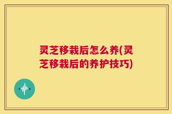 灵芝移栽后怎么养(灵芝移栽后的养护技巧)