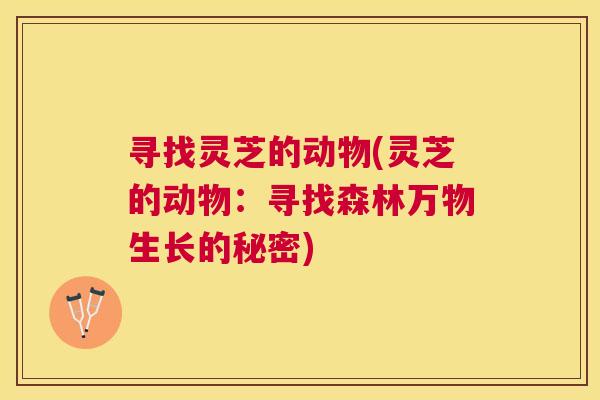 寻找灵芝的动物(灵芝的动物：寻找森林万物生长的秘密)