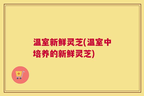 温室新鲜灵芝(温室中培养的新鲜灵芝) 温室新鲜灵芝(温室中培养的新鲜灵芝)