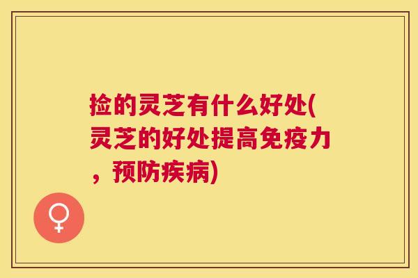 捡的灵芝有什么好处(灵芝的好处提高免疫力，预防疾病)