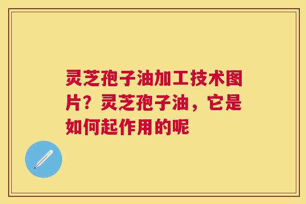 灵芝孢子油加工技术图片？灵芝孢子油，它是如何起作用的呢