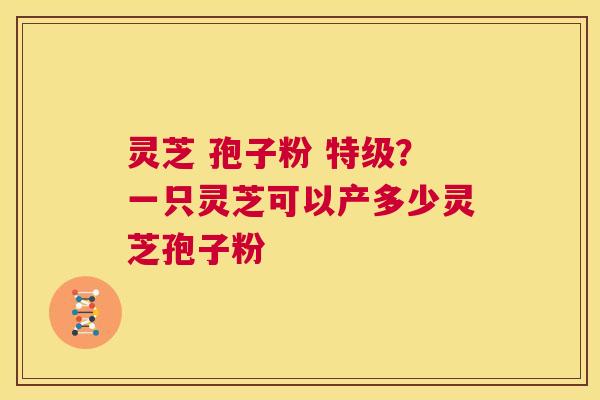 灵芝 孢子粉 特级？一只灵芝可以产多少灵芝孢子粉