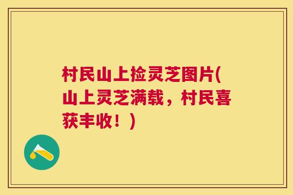 村民山上捡灵芝图片(山上灵芝满载，村民喜获丰收！)