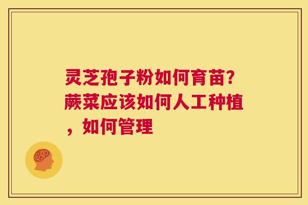 灵芝孢子粉如何育苗？蕨菜应该如何人工种植，如何管理