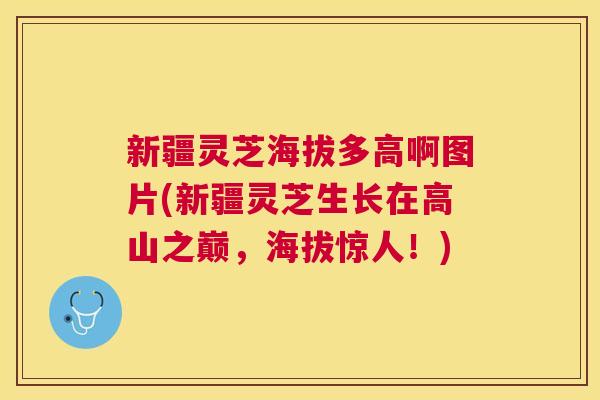 新疆灵芝海拔多高啊图片(新疆灵芝生长在高山之巅，海拔惊人！)