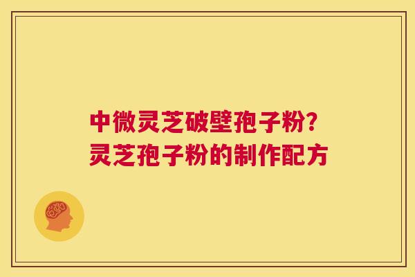 中微灵芝破壁孢子粉?灵芝孢子粉的制作配方 中微灵芝破壁孢子粉?灵芝孢子粉的制作配方