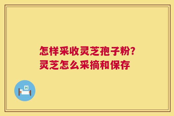 怎样采收灵芝孢子粉？灵芝怎么采摘和保存