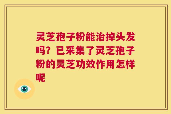 灵芝孢子粉能掉头发吗？已采集了灵芝孢子粉的灵芝功效作用怎样呢