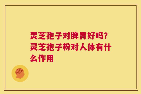 灵芝孢子对脾胃好吗？灵芝孢子粉对人体有什么作用
