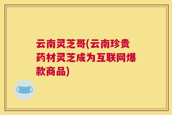 云南灵芝哥(云南珍贵药材灵芝成为互联网爆款商品)