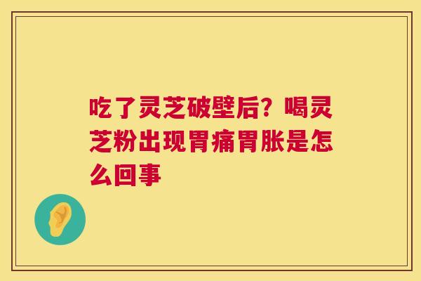吃了灵芝破壁后？喝灵芝粉出现胃痛胃胀是怎么回事