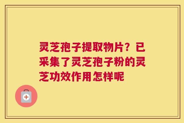 灵芝孢子提取物片？已采集了灵芝孢子粉的灵芝功效作用怎样呢