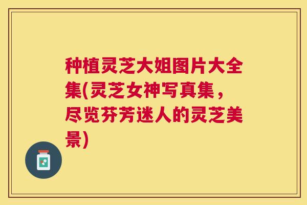 种植灵芝大姐图片大全集(灵芝女神写真集，尽览芬芳迷人的灵芝美景)