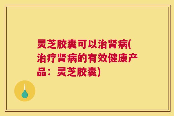 灵芝胶囊可以治肾病(治疗肾病的有效健康产品：灵芝胶囊)