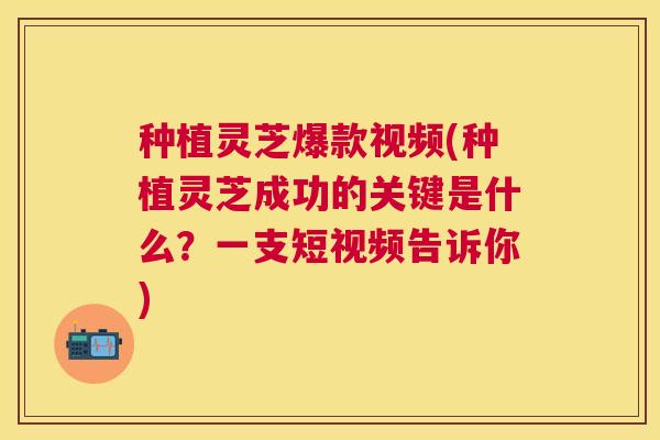 种植灵芝爆款视频(种植灵芝成功的关键是什么？一支短视频告诉你)