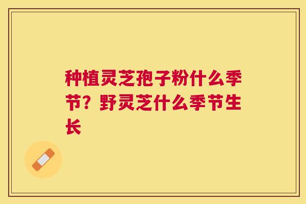 种植灵芝孢子粉什么季节？野灵芝什么季节生长