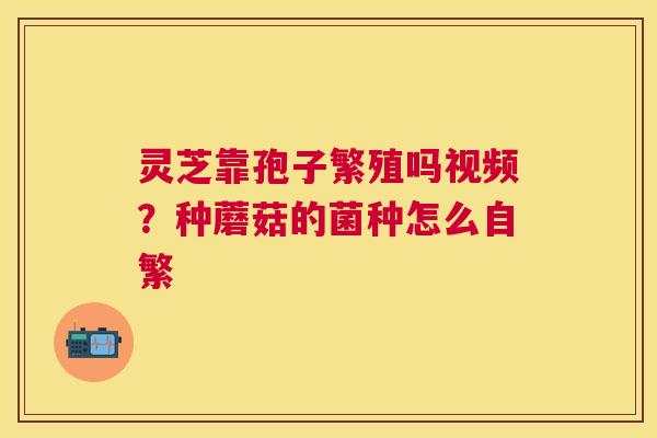 灵芝靠孢子繁殖吗视频？种蘑菇的菌种怎么自繁