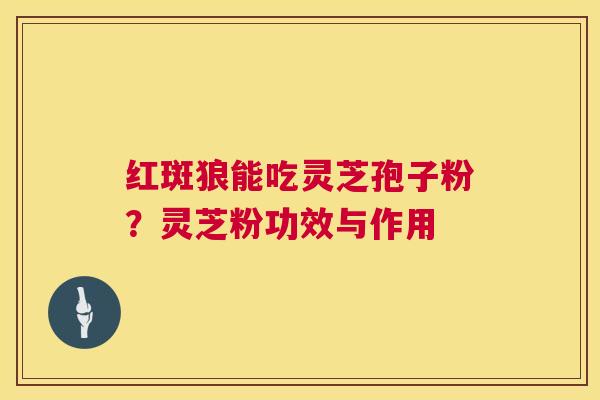红斑狼能吃灵芝孢子粉？灵芝粉功效与作用