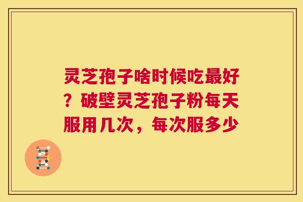 灵芝孢子啥时候吃好？破壁灵芝孢子粉每天服用几次，每次服多少