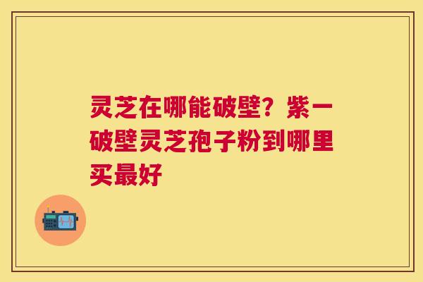 灵芝在哪能破壁？紫一破壁灵芝孢子粉到哪里买最好