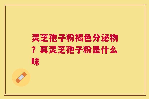 灵芝孢子粉褐色分泌物？真灵芝孢子粉是什么味