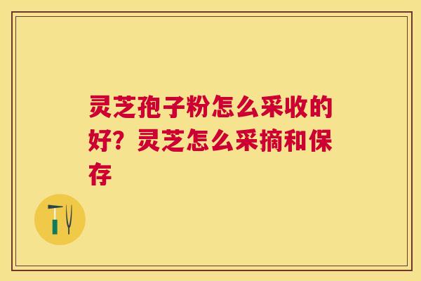 灵芝孢子粉怎么采收的好?灵芝怎么采摘和保存 灵芝孢子粉怎么采收的好?灵芝怎么采摘和保存