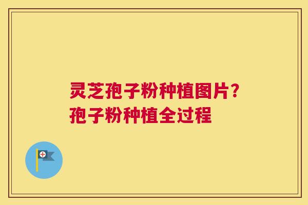 灵芝孢子粉种植图片？孢子粉种植全过程
