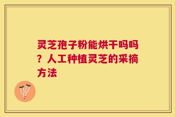 灵芝孢子粉能烘干吗吗？人工种植灵芝的采摘方法