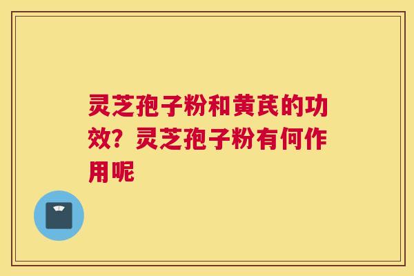 灵芝孢子粉和黄芪的功效？灵芝孢子粉有何作用呢