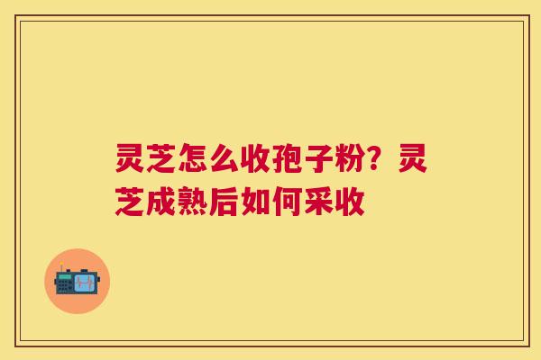 灵芝怎么收孢子粉？灵芝成熟后如何采收