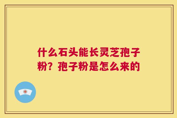 什么石头能长灵芝孢子粉？孢子粉是怎么来的