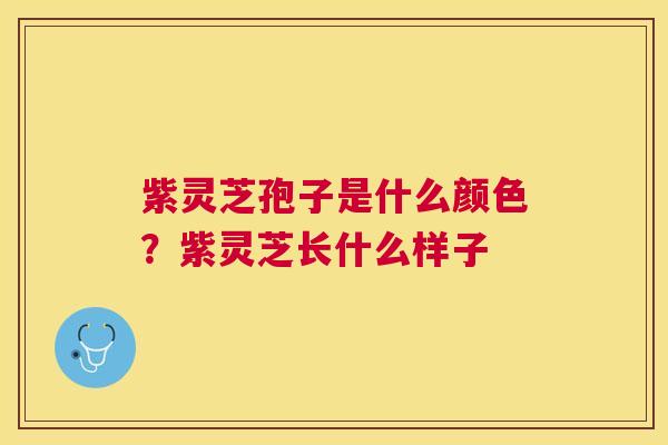 紫灵芝孢子是什么颜色？紫灵芝长什么样子