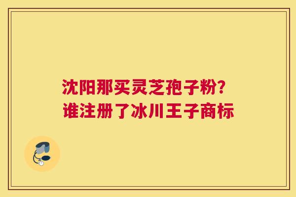 沈阳那买灵芝孢子粉？谁注册了冰川王子商标
