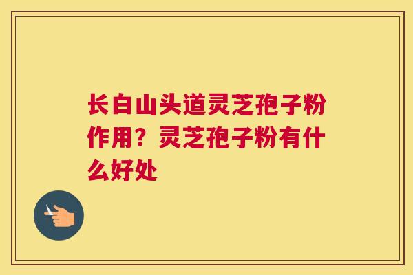 长白山头道灵芝孢子粉作用？灵芝孢子粉有什么好处