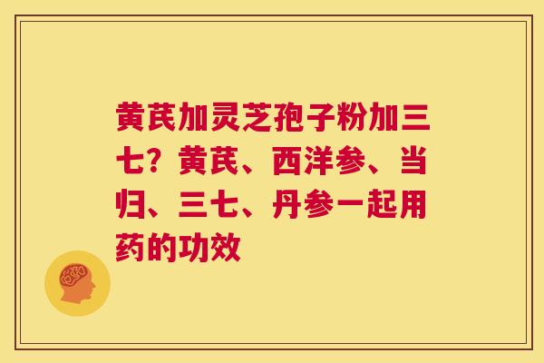 黄芪加灵芝孢子粉加三七？黄芪、西洋参、当归、三七、丹参一起用药的功效
