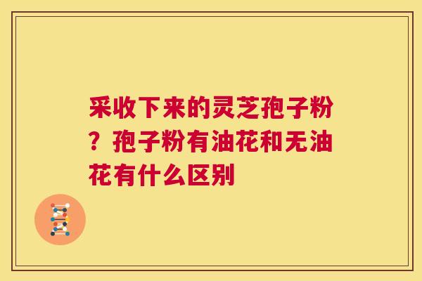 采收下来的灵芝孢子粉？孢子粉有油花和无油花有什么区别