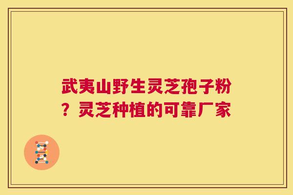 武夷山野生灵芝孢子粉?灵芝种植的可靠厂家 武夷山野生灵芝孢子粉?灵芝种植的可靠厂家