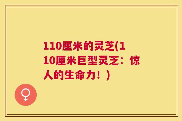 110厘米的灵芝(110厘米巨型灵芝：惊人的生命力！)