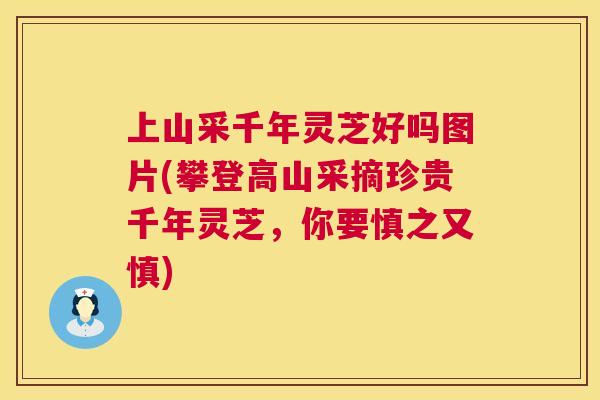 上山采千年灵芝好吗图片(攀登高山采摘珍贵千年灵芝，你要慎之又慎)