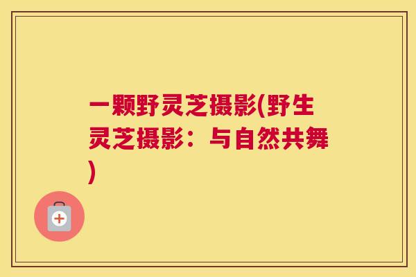 一颗野灵芝摄影(野生灵芝摄影：与自然共舞)