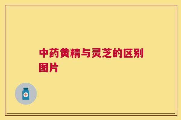 中药黄精与灵芝的区别图片