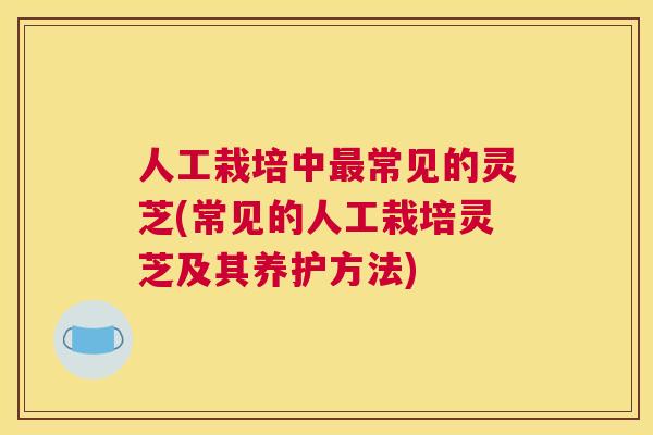 人工栽培中最常见的灵芝(常见的人工栽培灵芝及其养护方法)
