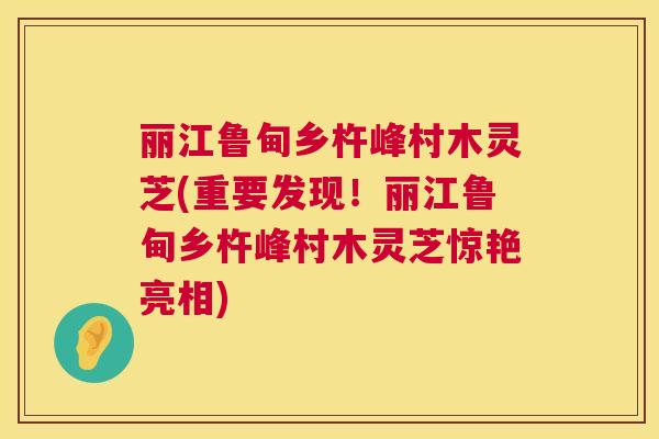 丽江鲁甸乡杵峰村木灵芝(重要发现！丽江鲁甸乡杵峰村木灵芝惊艳亮相)
