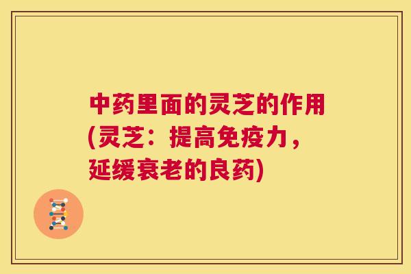 里面的灵芝的作用(灵芝：提高免疫力，延缓的良药)